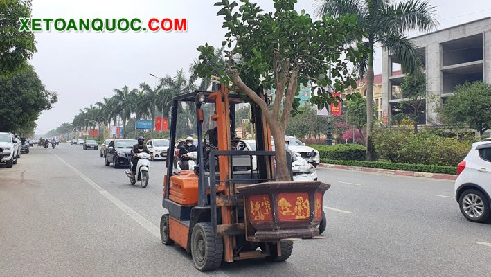 xe nâng cây cảnh